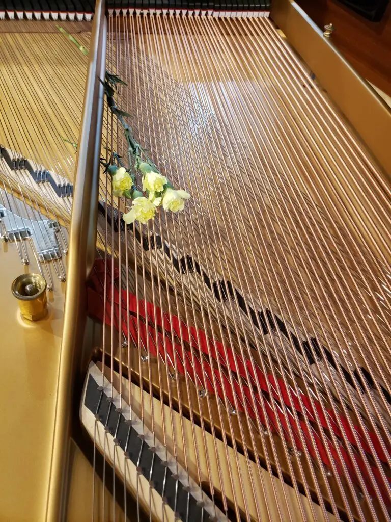 steinway grand II