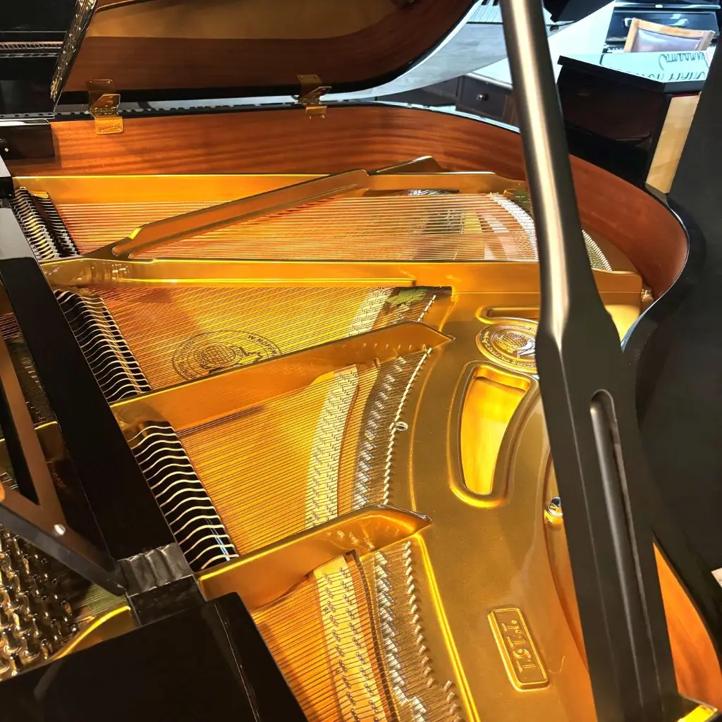 Hoffmann Piano_02